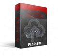 Flex Software Package ST10F2xx Master